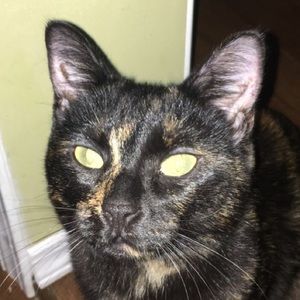 Meet your Posher, Jo